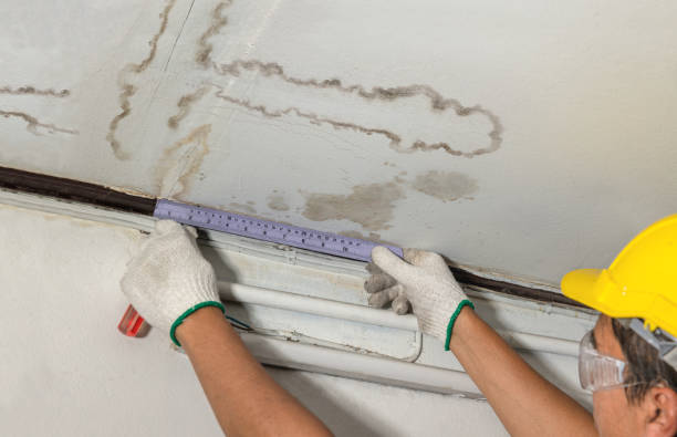 Reliable Water Damage contractor in Fairchild Air Force Base, WA by Water Damage Irwin
